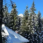 Triglav Np - Above Bled