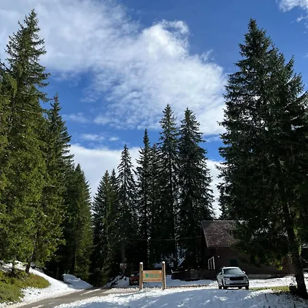 Triglav Np - Above Bled