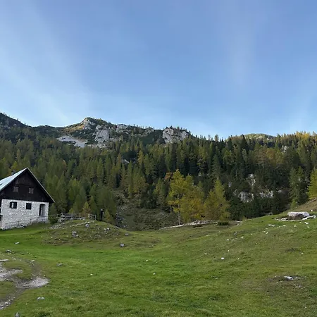 דירה Triglav Np - Above Bled