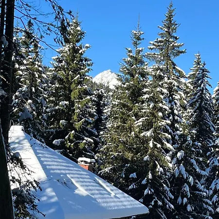 Triglav Np - Above Bled