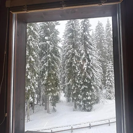 Triglav Np - Above Bled *