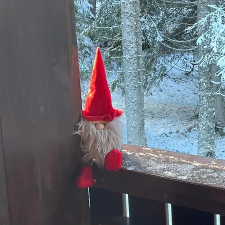 Triglav Np - Above Bled Zgornje Gorje