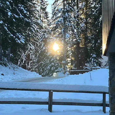 Apartamento Triglav Np - Above Bled *