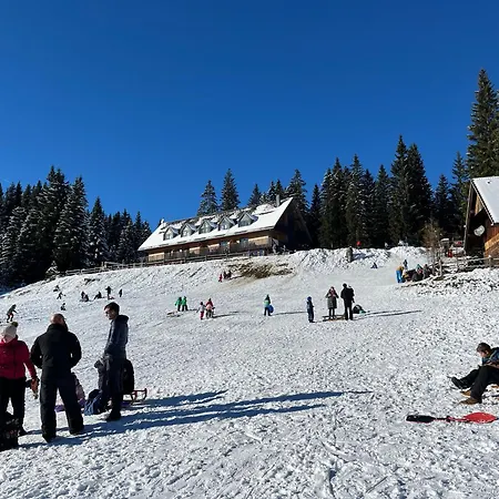 Triglav Np - Above Bled