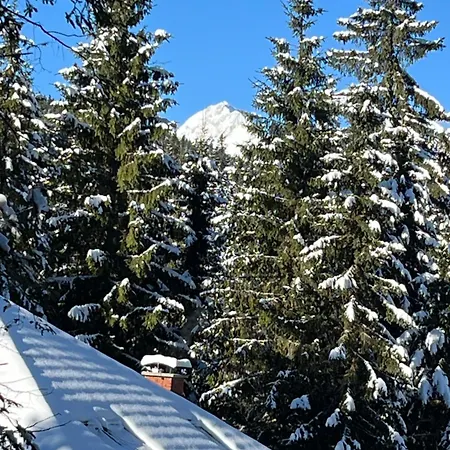 Apartamento Triglav Np - Above Bled Zgornje Gorje