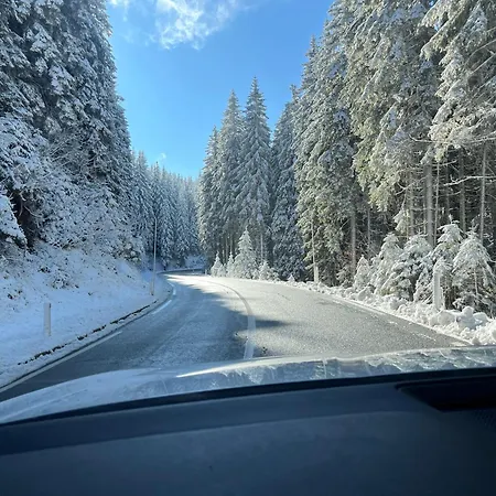 Triglav Np - Above Bled * Zgornje Gorje
