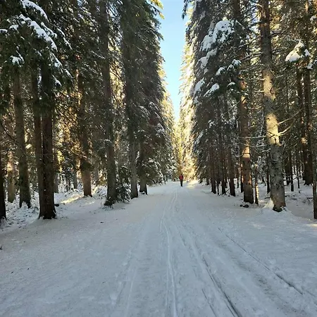 Triglav Np - Above Bled Apartamento Zgornje Gorje