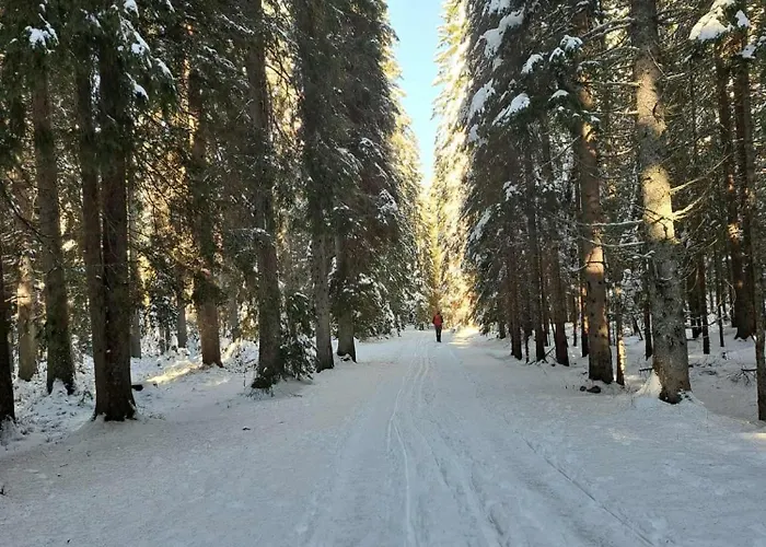 Triglav Np - Above Bled Διαμέρισμα Zgornje Gorje
